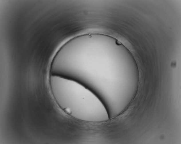 X0000103420912200809121009