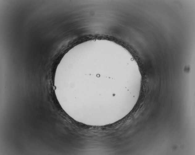 X0000103420918200809121009