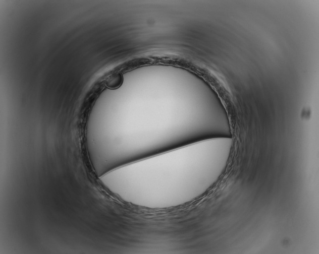 X0000103420920200809121009