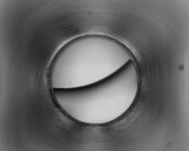 X0000103420926200809121009