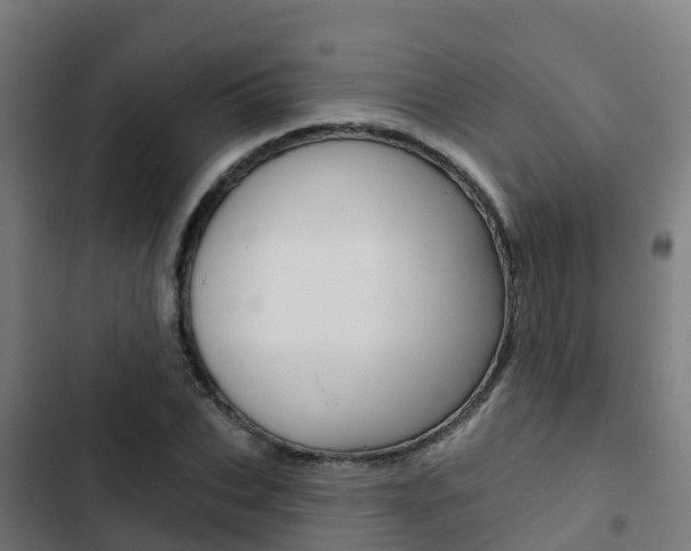 X0000103420927200809121009