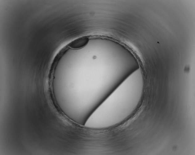 X0000103420928200809121009