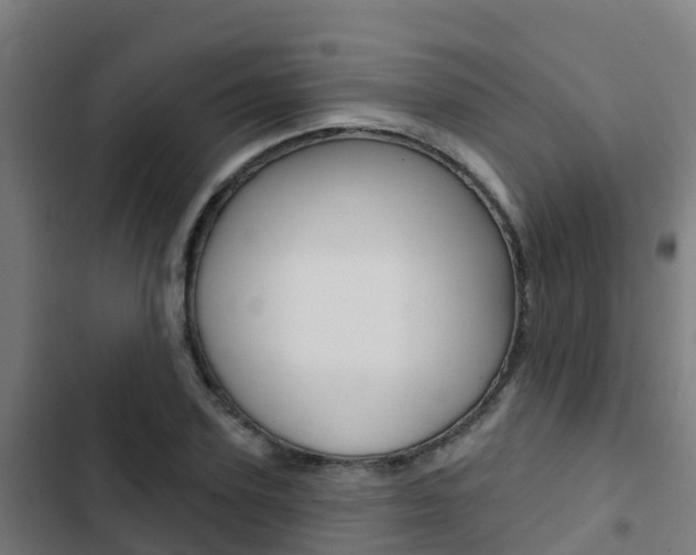 X0000103420931200809121009