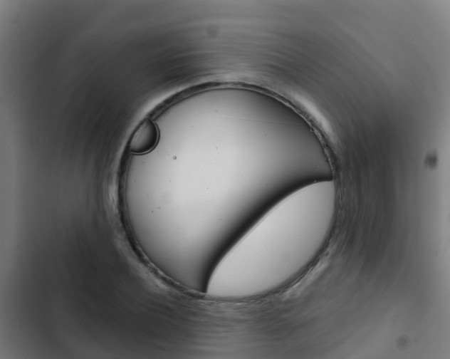 X0000103420932200809121009