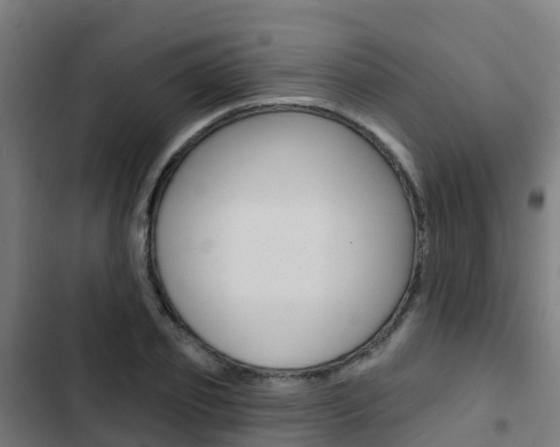 X0000103420933200809121009