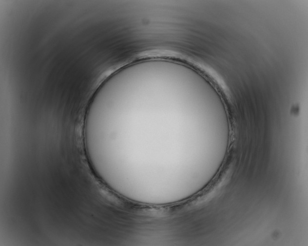 X0000103420937200809121009