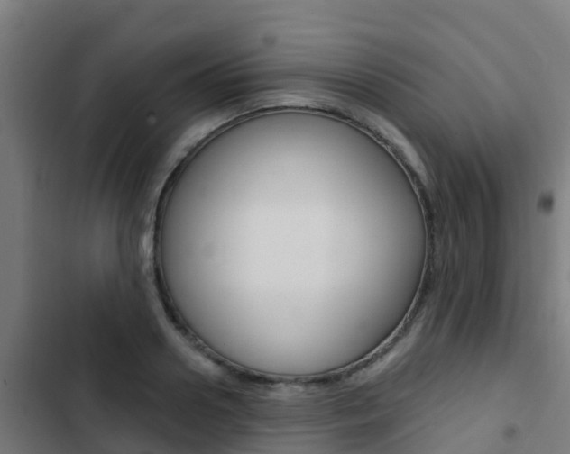 X0000103420938200809121009