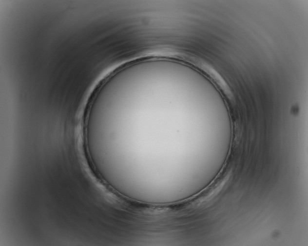 X0000103420939200809121009