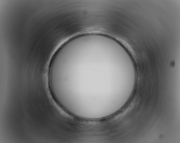 X0000103420941200809121009