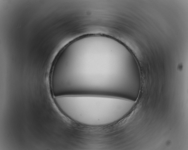 X0000103420943200809121009
