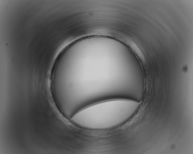 X0000103420944200809121009