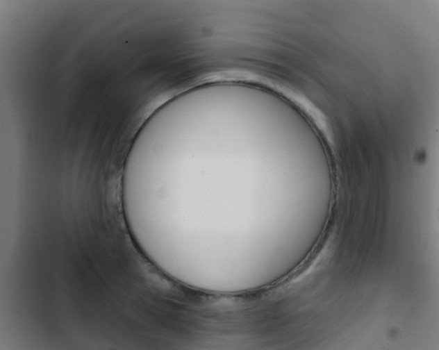X0000103420945200809121009