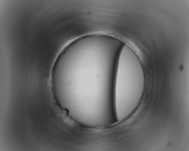 X0000103420948200809121009
