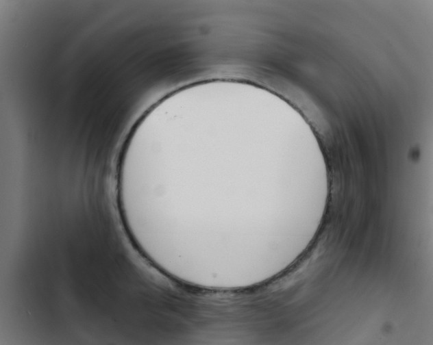 X0000103420950200809121009