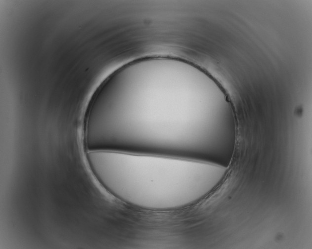 X0000103420951200809121009