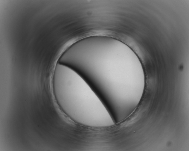 X0000103420954200809121009