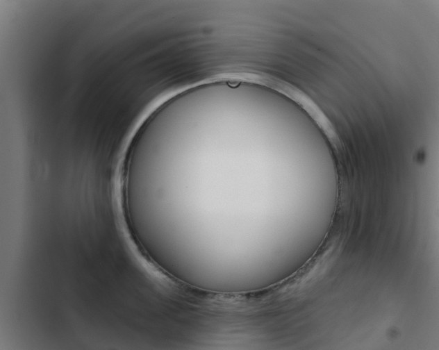 X0000103420955200809121009
