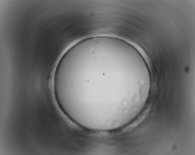 X0000103420957200809121009