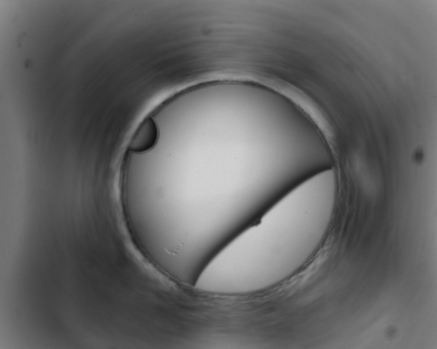 X0000103420958200809121009