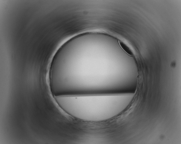X0000103420959200809121009