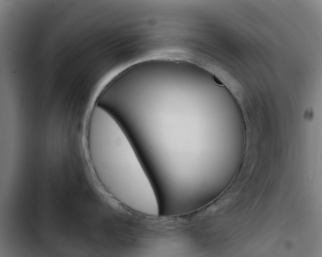X0000103420960200809121009