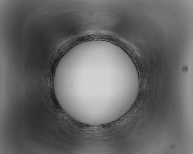 X0000103420966200809121009