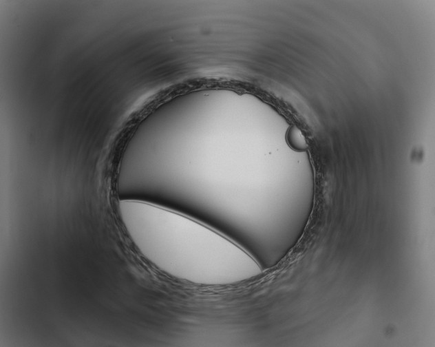 X0000103420968200809121009