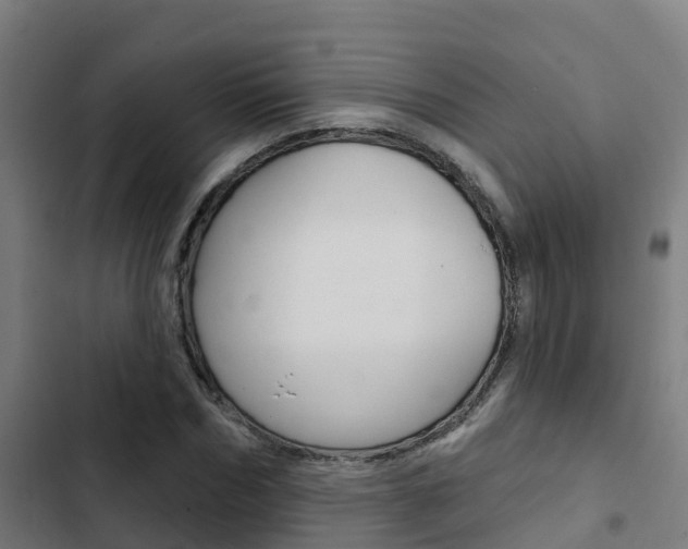 X0000103420970200809121008