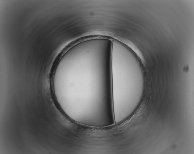 X0000103420972200809121008