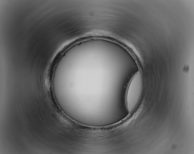 X0000103420973200809121008