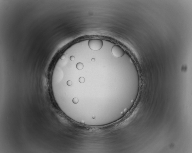X0000103420974200809121008