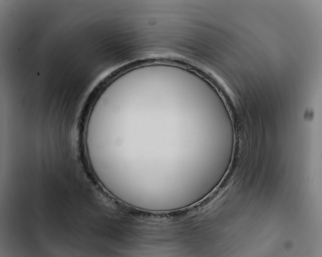 X0000103420975200809121008