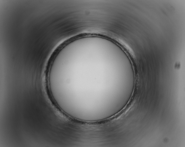 X0000103420976200809121008