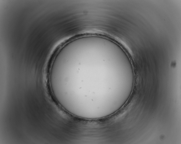 X0000103420979200809121008
