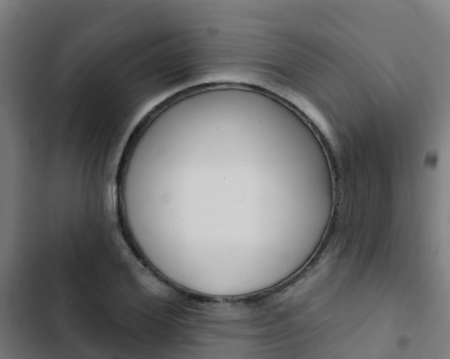 X0000103420980200809121008