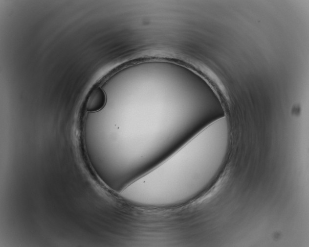 X0000103420981200809121008