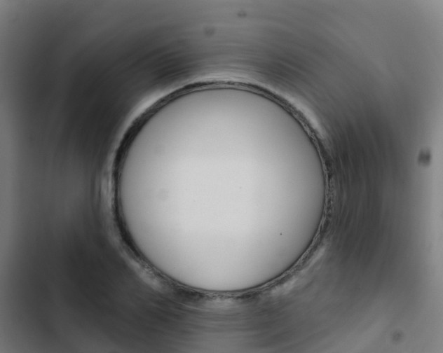 X0000103420982200809121008