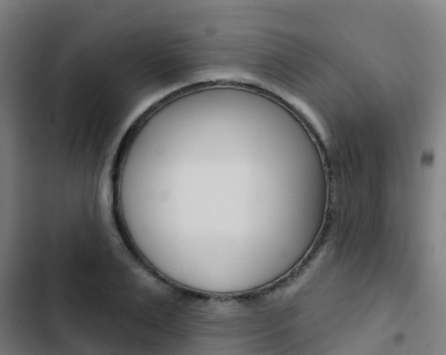 X0000103420983200809121008