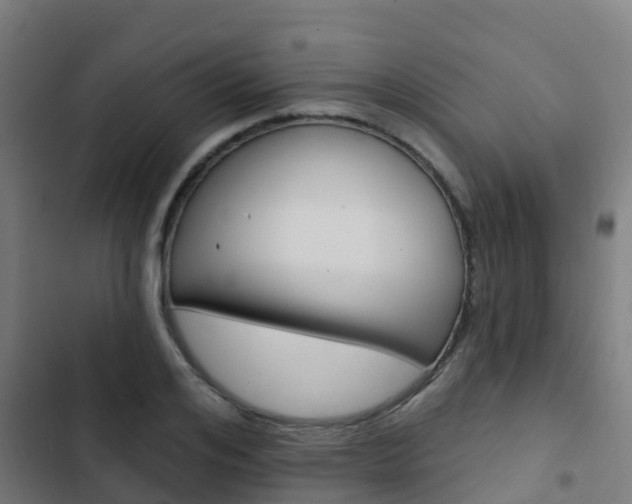 X0000103420984200809121008