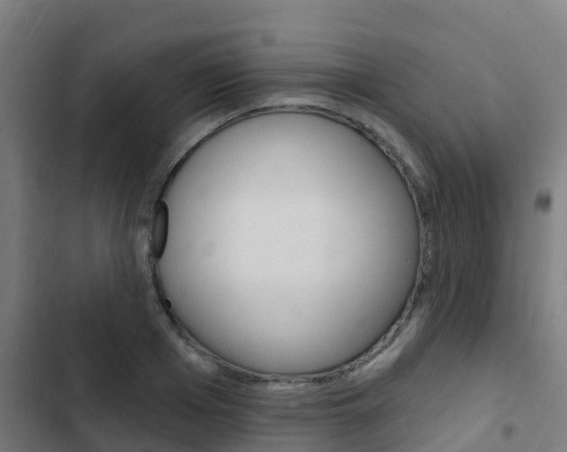 X0000103420985200809121008