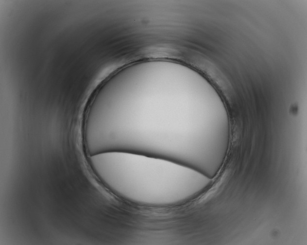 X0000103420986200809121008