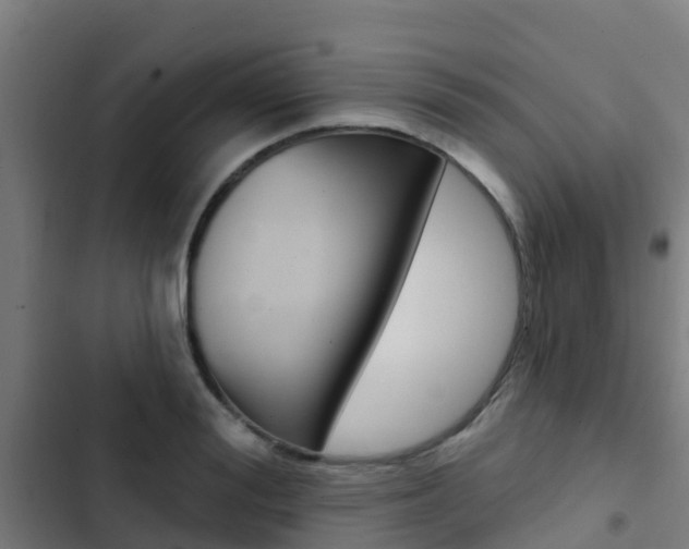 X0000103420988200809121008