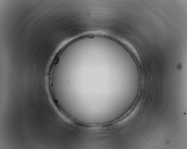 X0000103420989200809121008