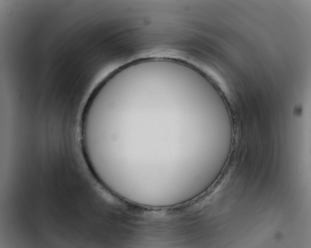 X0000103420990200809121008