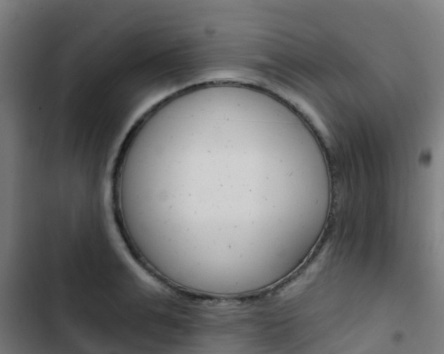 X0000103420991200809121008