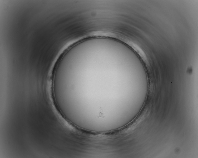 X0000103420992200809121008