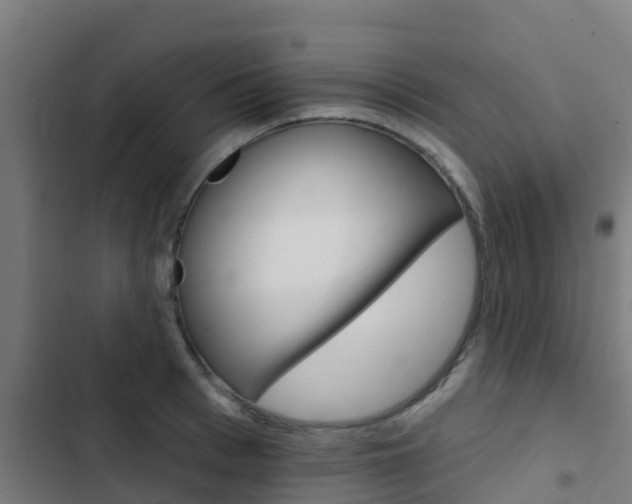 X0000103420993200809121008