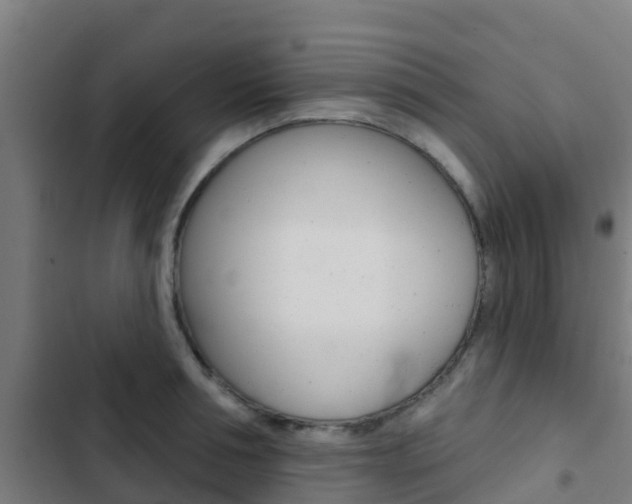 X0000103420994200809121008