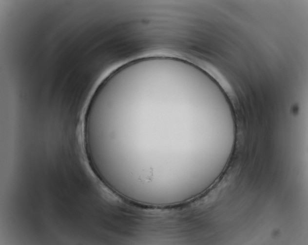 X0000103420996200809121008