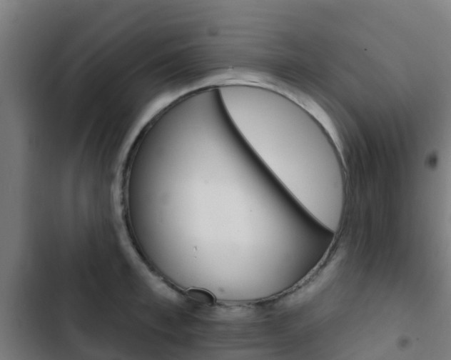 X0000103420997200809121008